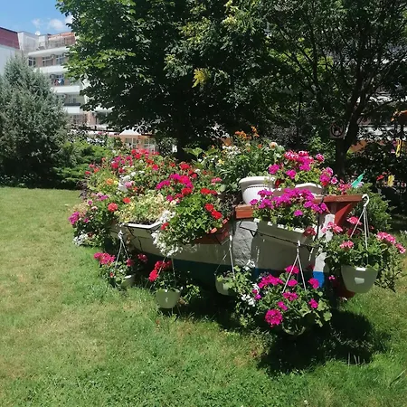 Daire Grand Kamelia Sunny Sunny Beach
