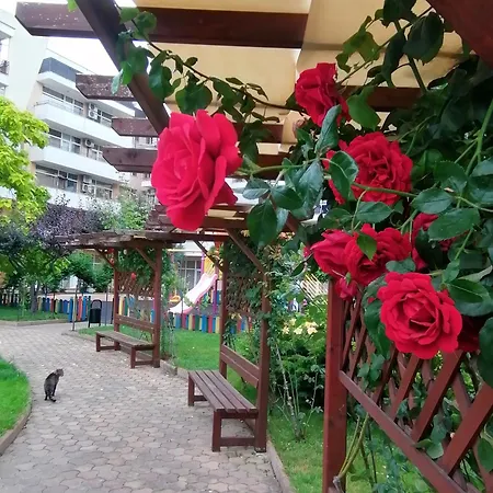 Grand Kamelia Sunny Apartmán *